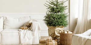 Το χρώμα-statement που θα απογειώσει τη χριστουγεννιάτικη αισθητική σας φέτος