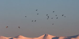 Χιόνια στον Όλυμπο