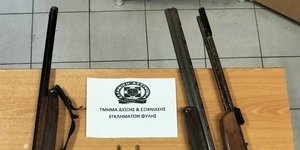 όπλα ανω λιόσια ελας