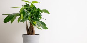 Φωτογραφία Shutterstock 