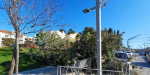 Πεσμένο δέντρο λόγω θυελλωδων ανέμων 