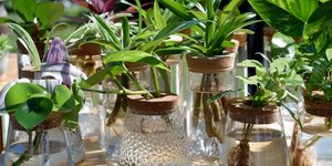 Φωτογραφία: Shutterstock