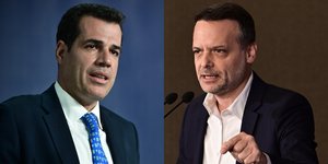 Θάνος Πλεύρης και Χάρης Δούκας