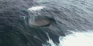 Από ψηλά, η εικόνα είναι ακόμη πιο παράξενη. Ένας σκοτεινός, σχεδόν μαύρος κύκλος στο νερό, περιβαλλόμενος από λευκό αφρό, σαν μάτι που ανοιγοκλείνει ή σαν στόμιο που καταπίνει και ξερνάει ενέργεια / YOUTUBE