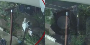 Σκύλος σώθηκε στο... πάρε πέντε μετά από την κατάρρευση αυλής πολυκατοικίας στον Άγιο Δημήτριο