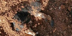 The dog that found buried 