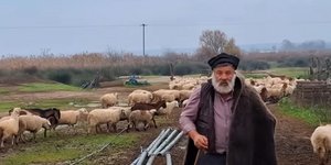 Κτηνοτρόφος