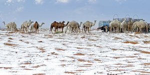 Χιονόπτωση στην έρημο της Σαουδικής Αραβίας