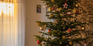 Χριστουγεννιάτικο δέντρο/Φωτογραφία Unsplash