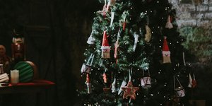 Το στολισμένο χριστουγεννιάτικο δέντρο ανήκει πλέον στο παρελθόν: Στον κόσμο της πολυτέλειας, αυτή είναι η νέα εμμονή