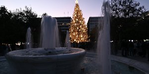 Χριστουγεννιάτικο δένδρο Αθήνα