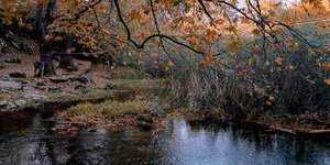 Φωτογραφία από το χωριό