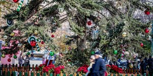 χριστουγεννιατικο δεντρο