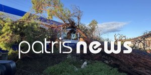 Μεγάλο πεύκο έπεσε πάνω σε διερχόμενο τρένο