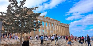 ακροπολη κοσμος δεντρο