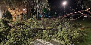  Ισχυρή καταιγίδα με ριπές ανέμου μέχρι και 150 χλμ/ώρα σάρωσε τον Δήμο Αλεξανδρούπολης