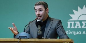 Ο Νίκος Ανδρουλάκης