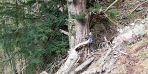 κορμος αντρας