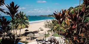 Μπόκας ντελ Τόρο, Παναμάς