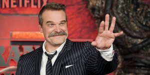 Ο ηθοποιός του Stranger Things, Ντέιβιντ Χάρμπορ