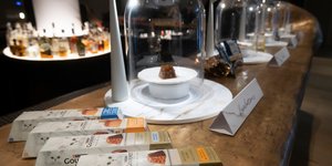 Purina GOURMET™ στο Delta   