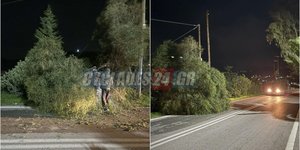 Σφοδροί άνεμοι στη Σύρο έριξαν δέντρο στον δρόμο