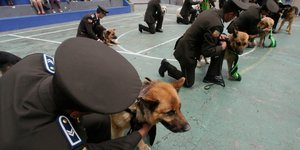 Αστυνομικοί με σκύλους Κ9 ψάχνουν ναρκωτικά στον Ισημερινό