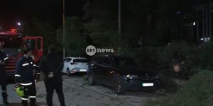 Επεσε δεντρο τα ξημερώματα στη Μεσογειων