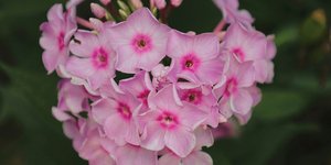 Φωτογραφία Unsplash 