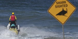 Επίθεση καρχαρία 