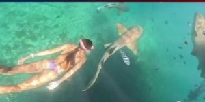 36χρονη δέχτηκε δάγκωμα ενώ έκανε ελεύθερη κατάδυση