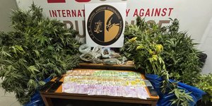 Χρήματα και δενδρύλλια κάνναβης