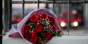 Τριαντάφυλλα 