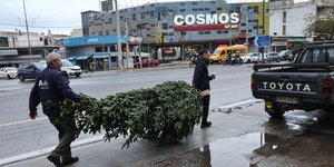 Χριστουγεννιατικο ελατο