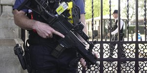 Αστυνομικός στο Λονδίνο 