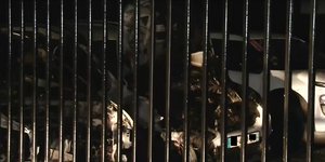 Φωτιά σε μάντρα μ ΙΧ 