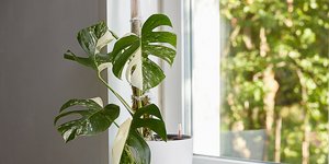 Φωτογραφία Shutterstock 