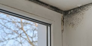 Μούχλα στους τοίχους