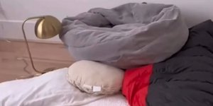 Φωτογραφία: screenshot