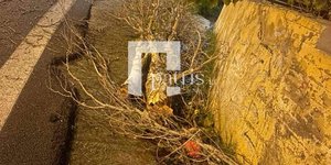 Ξεριζώθηκε δέντρο στο ΒΟΑΚ
