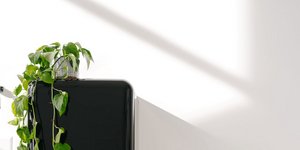 Τι σημαίνει να βάζεις ένα φυτό πάνω στο ψυγείο, σύμφωνα με το Φενγκ Σούι