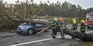 Φωτογραφία: X