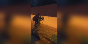 Ρουβίκωνας Βιολάντα