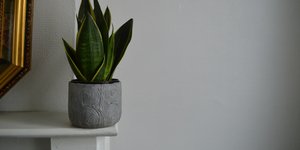 Φωτογραφία Unsplash 