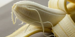 Αυτές οι ίνες είναι τα λεγόμενα φλοίωματα. Πρόκειται ουσιαστικά για τα «αιμοφόρα αγγεία» των φυτών: λειτουργούν σαν ένα σύστημα μεταφοράς (αγγεία αγωγής) που μεταφέρει ζάχαρη καθώς και άλλες ενεργειακές ουσίες από τα φύλλα προς τον καρπό / SHUTTERSTOCK 