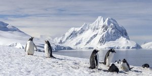 Μια νέα επιστημονική χαρτογράφηση «ξεσκεπάζει» αυτό το υπεδάφιο τοπίο με πρωτοφανή λεπτομέρεια, αποκαλύπτοντας χιλιάδες νέους λόφους, ράχες και δομές που δεν είχαν καταγραφεί μέχρι σήμερα / SHUTTERSTOCK