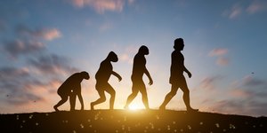 Η εξέλιξη του ανθρώπινου είδους