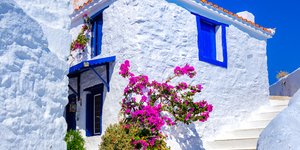 Βουκαμβίλια στο σοκάκι