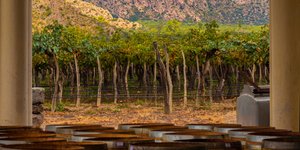 οινοποιείο