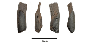  ξύλινα εργαλεία